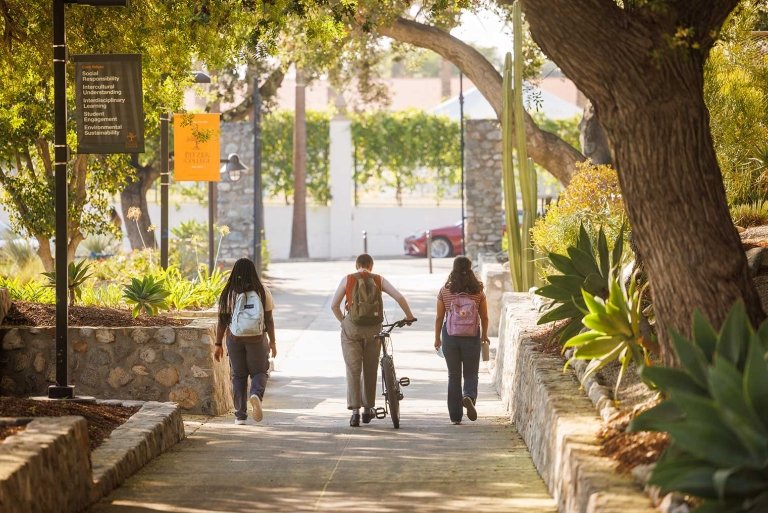 playtime withdrawal issue